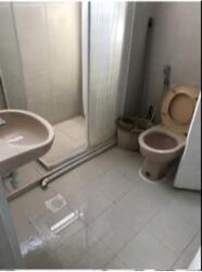 Beauty World Plaza (D21), Apartment #555302891